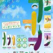 ヒメ日記 2024/11/29 21:48 投稿 しおり奥様 金沢の20代30代40代50代が集う人妻倶楽部