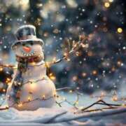 ヒメ日記 2024/12/11 22:34 投稿 しおり奥様 金沢の20代30代40代50代が集う人妻倶楽部