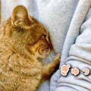 ヒメ日記 2025/01/01 19:03 投稿 しおり奥様 金沢の20代30代40代50代が集う人妻倶楽部