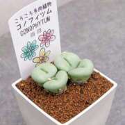 ヒメ日記 2025/01/04 23:06 投稿 しおり奥様 金沢の20代30代40代50代が集う人妻倶楽部