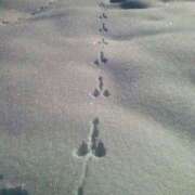 ヒメ日記 2025/02/05 23:51 投稿 しおり奥様 金沢の20代30代40代50代が集う人妻倶楽部