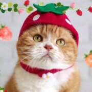 ヒメ日記 2025/02/10 22:49 投稿 しおり奥様 金沢の20代30代40代50代が集う人妻倶楽部