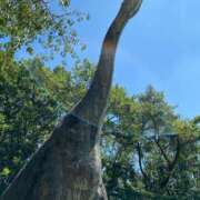 ヒメ日記 2025/02/11 09:18 投稿 しおり奥様 金沢の20代30代40代50代が集う人妻倶楽部