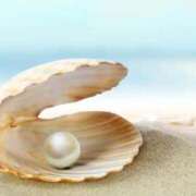 ヒメ日記 2025/02/12 23:33 投稿 しおり奥様 金沢の20代30代40代50代が集う人妻倶楽部