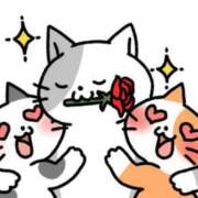 ヒメ日記 2025/03/02 15:13 投稿 しおり奥様 金沢の20代30代40代50代が集う人妻倶楽部