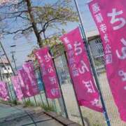 ヒメ日記 2025/03/09 22:27 投稿 しおり奥様 金沢の20代30代40代50代が集う人妻倶楽部