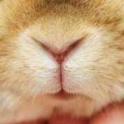 ヒメ日記 2025/03/11 20:03 投稿 しおり奥様 金沢の20代30代40代50代が集う人妻倶楽部