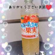 ヒメ日記 2025/03/17 22:42 投稿 しおり奥様 金沢の20代30代40代50代が集う人妻倶楽部