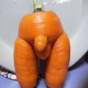 ヒメ日記 2025/03/21 20:42 投稿 しおり奥様 金沢の20代30代40代50代が集う人妻倶楽部