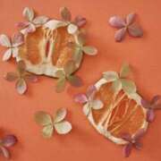 ヒメ日記 2025/03/25 20:33 投稿 しおり奥様 金沢の20代30代40代50代が集う人妻倶楽部