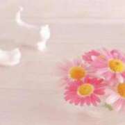 ヒメ日記 2025/03/30 01:03 投稿 しおり奥様 金沢の20代30代40代50代が集う人妻倶楽部