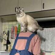 ヒメ日記 2025/04/14 23:48 投稿 しおり奥様 金沢の20代30代40代50代が集う人妻倶楽部