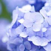 ヒメ日記 2025/05/13 08:18 投稿 しおり奥様 金沢の20代30代40代50代が集う人妻倶楽部