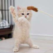 ヒメ日記 2025/05/14 18:33 投稿 しおり奥様 金沢の20代30代40代50代が集う人妻倶楽部