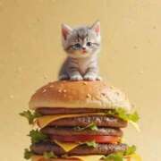 ヒメ日記 2025/05/15 12:42 投稿 しおり奥様 金沢の20代30代40代50代が集う人妻倶楽部