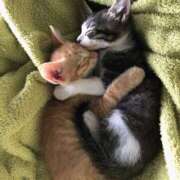 ヒメ日記 2025/05/16 09:03 投稿 しおり奥様 金沢の20代30代40代50代が集う人妻倶楽部