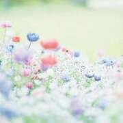 ヒメ日記 2025/05/18 08:57 投稿 しおり奥様 金沢の20代30代40代50代が集う人妻倶楽部