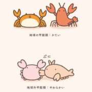 ヒメ日記 2025/05/18 12:12 投稿 しおり奥様 金沢の20代30代40代50代が集う人妻倶楽部