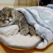 ヒメ日記 2025/05/19 07:42 投稿 しおり奥様 金沢の20代30代40代50代が集う人妻倶楽部