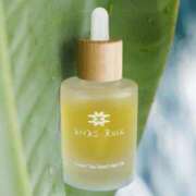 ヒメ日記 2025/05/24 02:03 投稿 しおり奥様 金沢の20代30代40代50代が集う人妻倶楽部