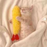 ヒメ日記 2025/06/07 19:18 投稿 しおり奥様 金沢の20代30代40代50代が集う人妻倶楽部