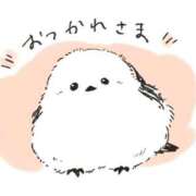 ヒメ日記 2025/06/10 20:27 投稿 しおり奥様 金沢の20代30代40代50代が集う人妻倶楽部