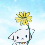 ヒメ日記 2025/06/20 08:09 投稿 しおり奥様 金沢の20代30代40代50代が集う人妻倶楽部