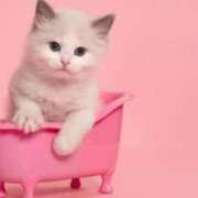 ヒメ日記 2025/08/01 20:48 投稿 しおり奥様 金沢の20代30代40代50代が集う人妻倶楽部