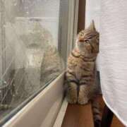 ヒメ日記 2025/08/07 20:36 投稿 しおり奥様 金沢の20代30代40代50代が集う人妻倶楽部