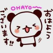 ヒメ日記 2025/08/13 09:09 投稿 しおり奥様 金沢の20代30代40代50代が集う人妻倶楽部