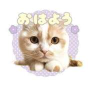 ヒメ日記 2025/09/13 08:51 投稿 しおり奥様 金沢の20代30代40代50代が集う人妻倶楽部