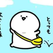 ヒメ日記 2025/10/03 07:42 投稿 しおり奥様 金沢の20代30代40代50代が集う人妻倶楽部