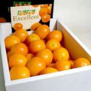 ヒメ日記 2025/10/27 22:03 投稿 しおり奥様 金沢の20代30代40代50代が集う人妻倶楽部