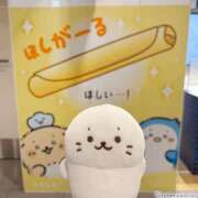 ヒメ日記 2026/08/01 15:19 投稿 しおり奥様 金沢の20代30代40代50代が集う人妻倶楽部