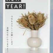 ヒメ日記 2025/01/01 09:06 投稿 葵(あおい)奥様 金沢の20代30代40代50代が集う人妻倶楽部