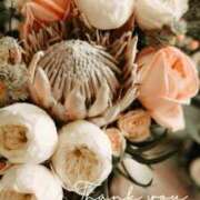 ヒメ日記 2025/02/04 11:06 投稿 葵(あおい)奥様 金沢の20代30代40代50代が集う人妻倶楽部