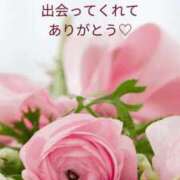 ヒメ日記 2025/02/28 14:19 投稿 葵(あおい)奥様 金沢の20代30代40代50代が集う人妻倶楽部