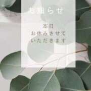 ヒメ日記 2025/03/03 07:18 投稿 葵(あおい)奥様 金沢の20代30代40代50代が集う人妻倶楽部