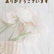 ヒメ日記 2025/03/29 12:33 投稿 葵(あおい)奥様 金沢の20代30代40代50代が集う人妻倶楽部