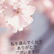 ヒメ日記 2025/04/08 16:03 投稿 葵(あおい)奥様 金沢の20代30代40代50代が集う人妻倶楽部
