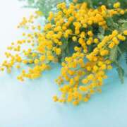 ヒメ日記 2025/04/09 15:48 投稿 葵(あおい)奥様 金沢の20代30代40代50代が集う人妻倶楽部