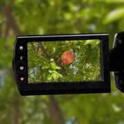 ヒメ日記 2025/10/16 11:24 投稿 葵(あおい)奥様 金沢の20代30代40代50代が集う人妻倶楽部