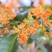 ヒメ日記 2025/10/19 16:33 投稿 葵(あおい)奥様 金沢の20代30代40代50代が集う人妻倶楽部