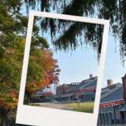 ヒメ日記 2025/11/11 13:48 投稿 葵(あおい)奥様 金沢の20代30代40代50代が集う人妻倶楽部