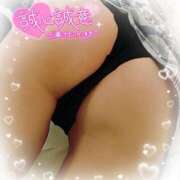 ヒメ日記 2025/11/25 10:54 投稿 にな Welcome Cafe(ウェルカムカフェ) 八王子本店