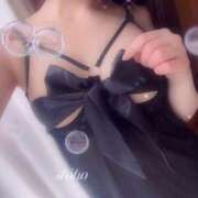 ヒメ日記 2024/12/12 23:31 投稿 しほ ビギナーズ和歌山