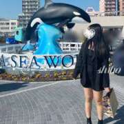 ヒメ日記 2025/03/17 20:57 投稿 しほ ビギナーズ和歌山