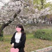 ヒメ日記 2025/04/03 19:59 投稿 しほ ビギナーズ和歌山