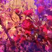 ヒメ日記 2025/03/04 15:32 投稿 堀 ちえみ 熟女・人妻マダム宮殿