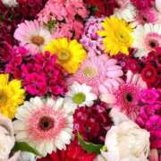 ヒメ日記 2025/08/21 10:01 投稿 堀 ちえみ 熟女・人妻マダム宮殿